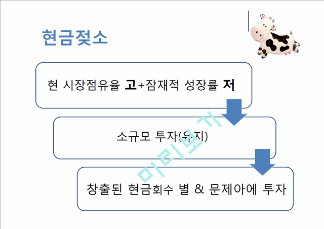 BCG & GE matrix   (8 )